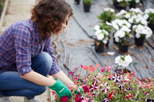 Garden drainage solutions for waterlogged lawns in Hanwell