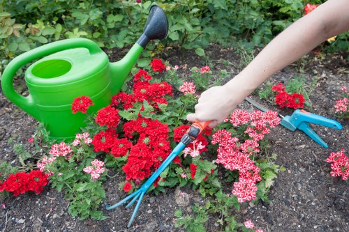 Accessibility and inclusive landscaping information for Hanwell visitors