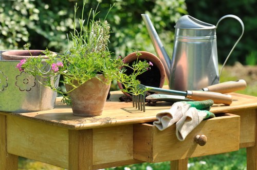 Outdoor garden lighting for a Hanwell home path and planting area