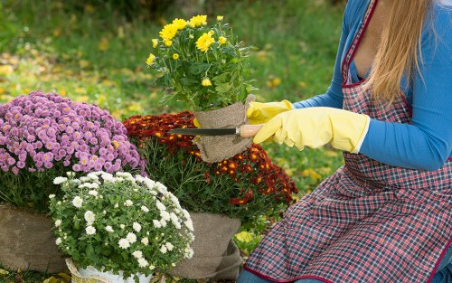 Landscaping pricing summary for homes and busy streets in Hanwell