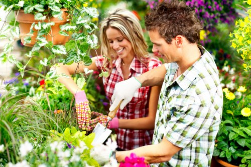 Free quote assessment for a Hanwell landscaping service