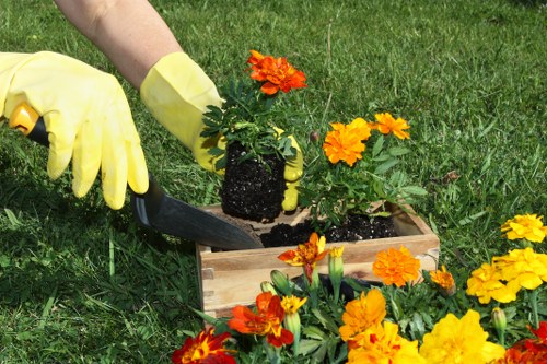 Risk assessment and safety planning for a landscaping project