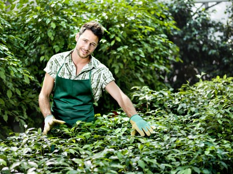 Final overview of safe landscaping practices and team responsibility