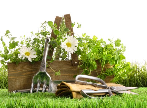 Charity reuse of garden materials and surplus landscaping items