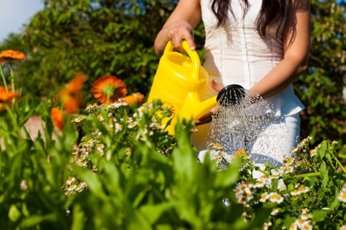 Screen-reader friendly landscaping content for Hanwell area users